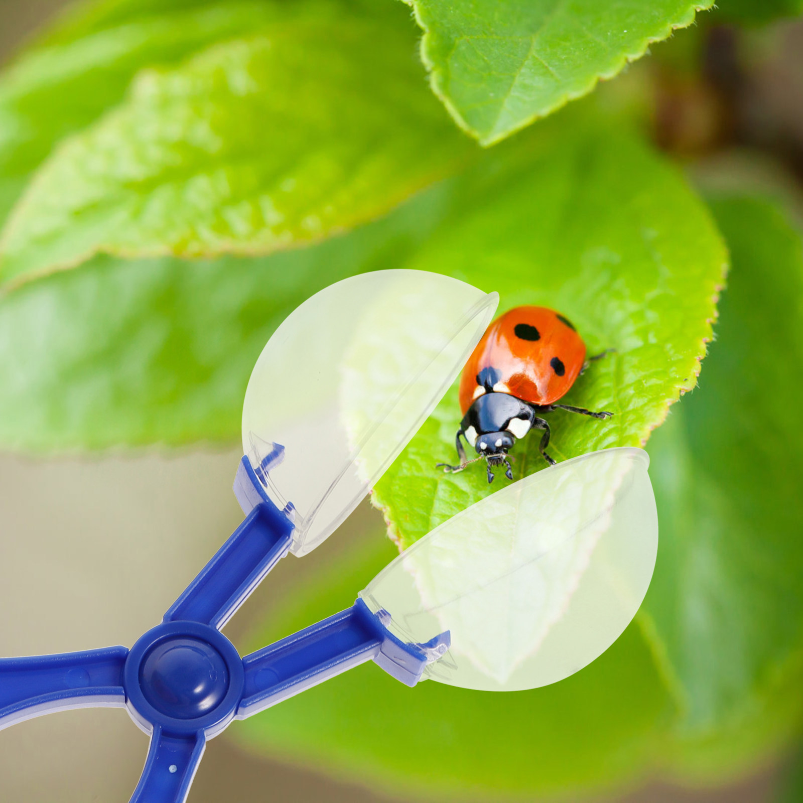 8Pcs Insect Catcher Scissors K - Kids Outdoor Nature Toys recension och pris
